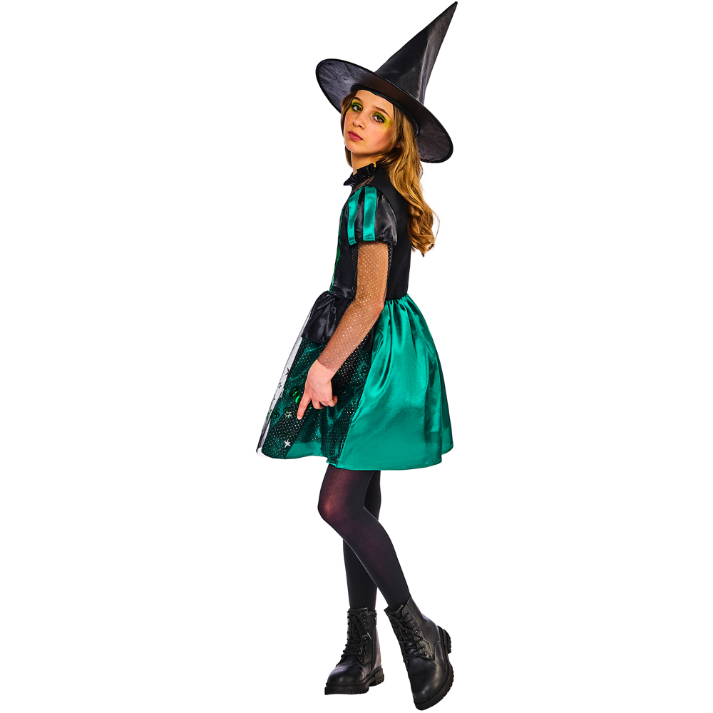 Wizard of OZ Wicked Witch Halloween Costume 9 to 10 Years Image 4