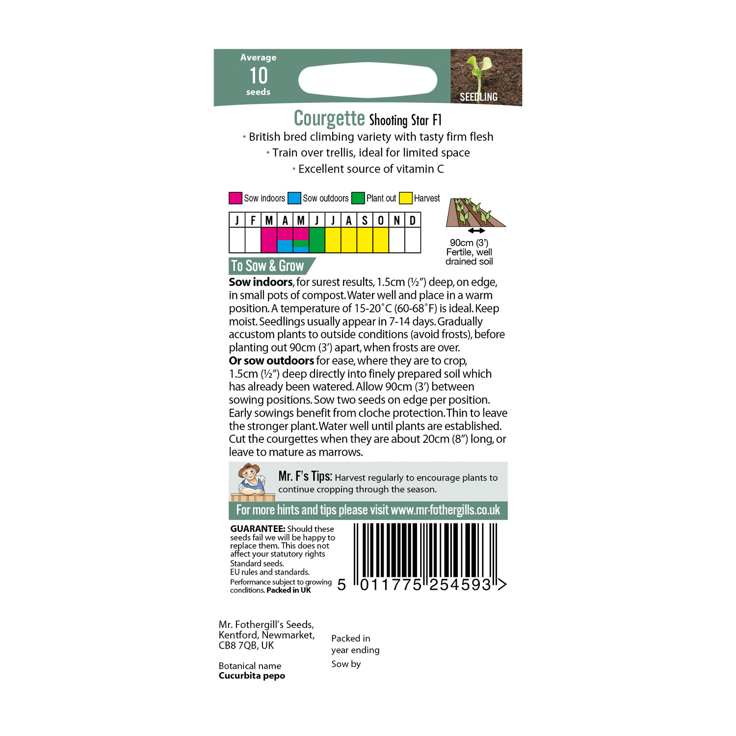 Shooting Star F1 Courgette Seeds Image 2