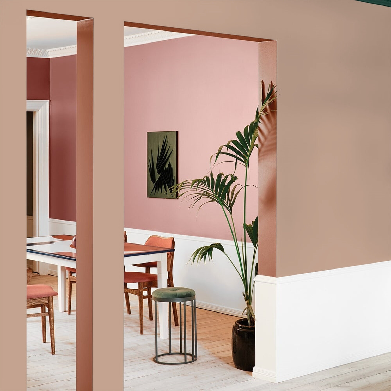 Johnstone's MY Colour Luxurious Durable Matt Paint Sombrero Tan Image 2