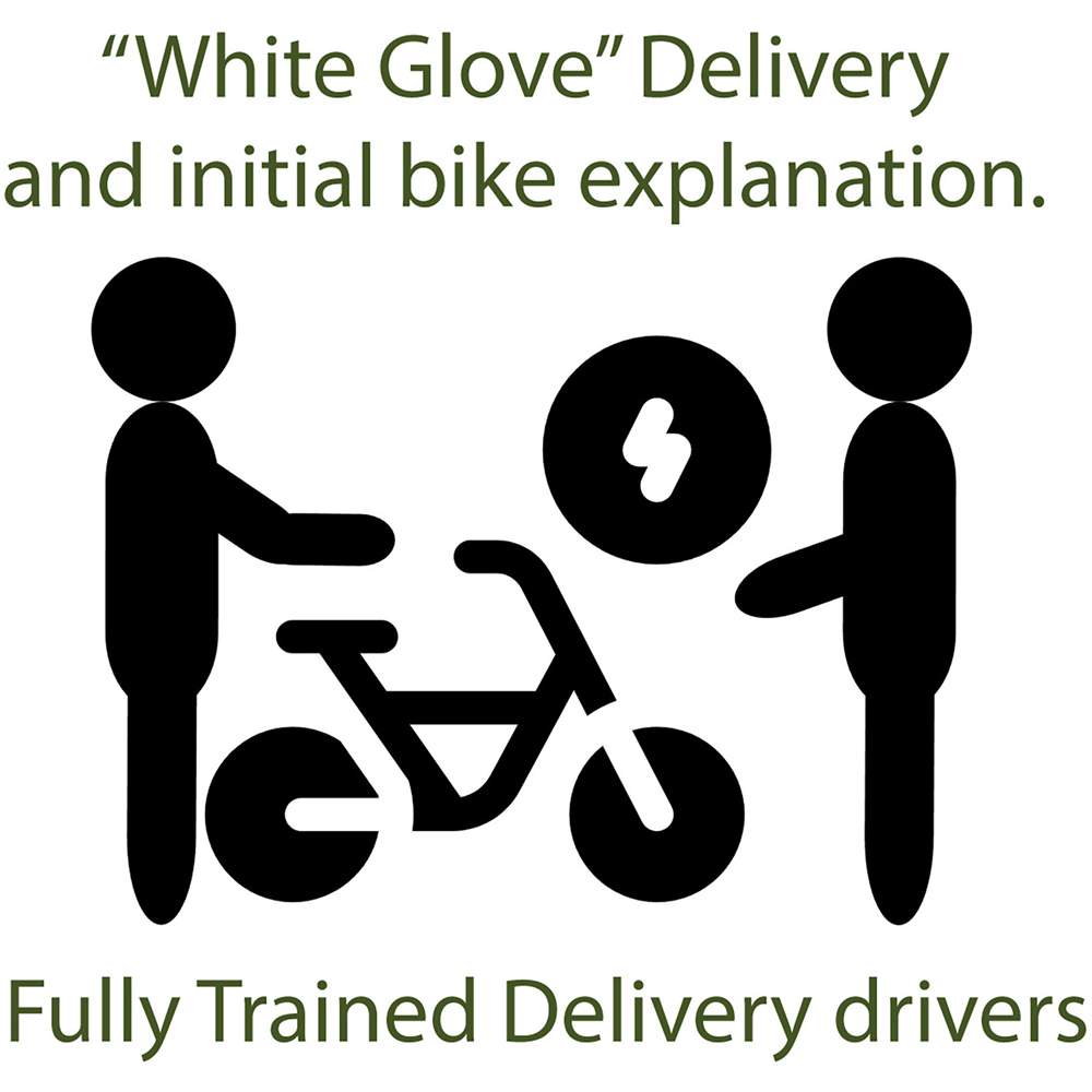 Eskuta SX-250 Voyager Gloss White Electric Bike 48V Image 9