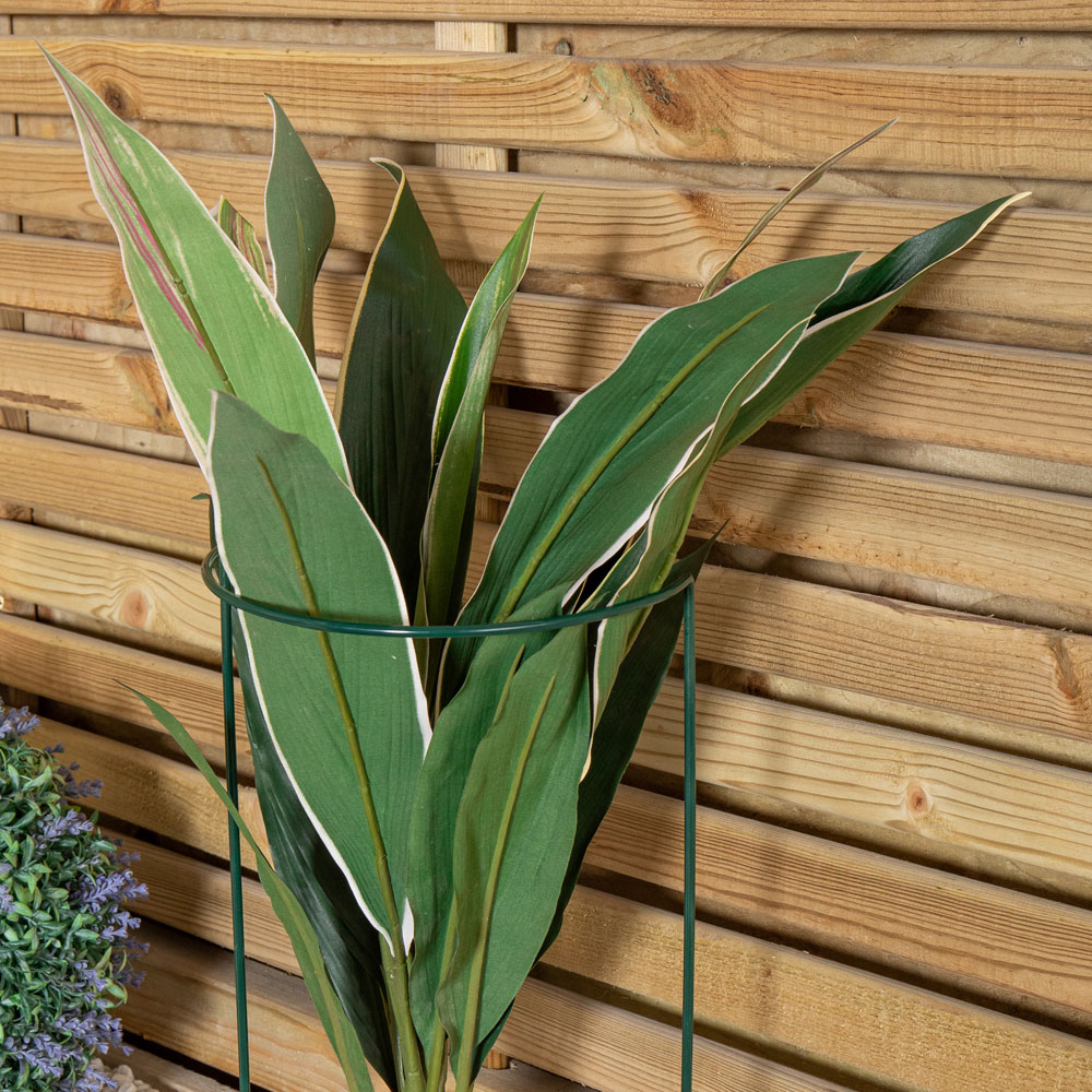 Samuel Alexander Metal Green Herbaceous Plant Support Arc 20 x 60cm Image 4