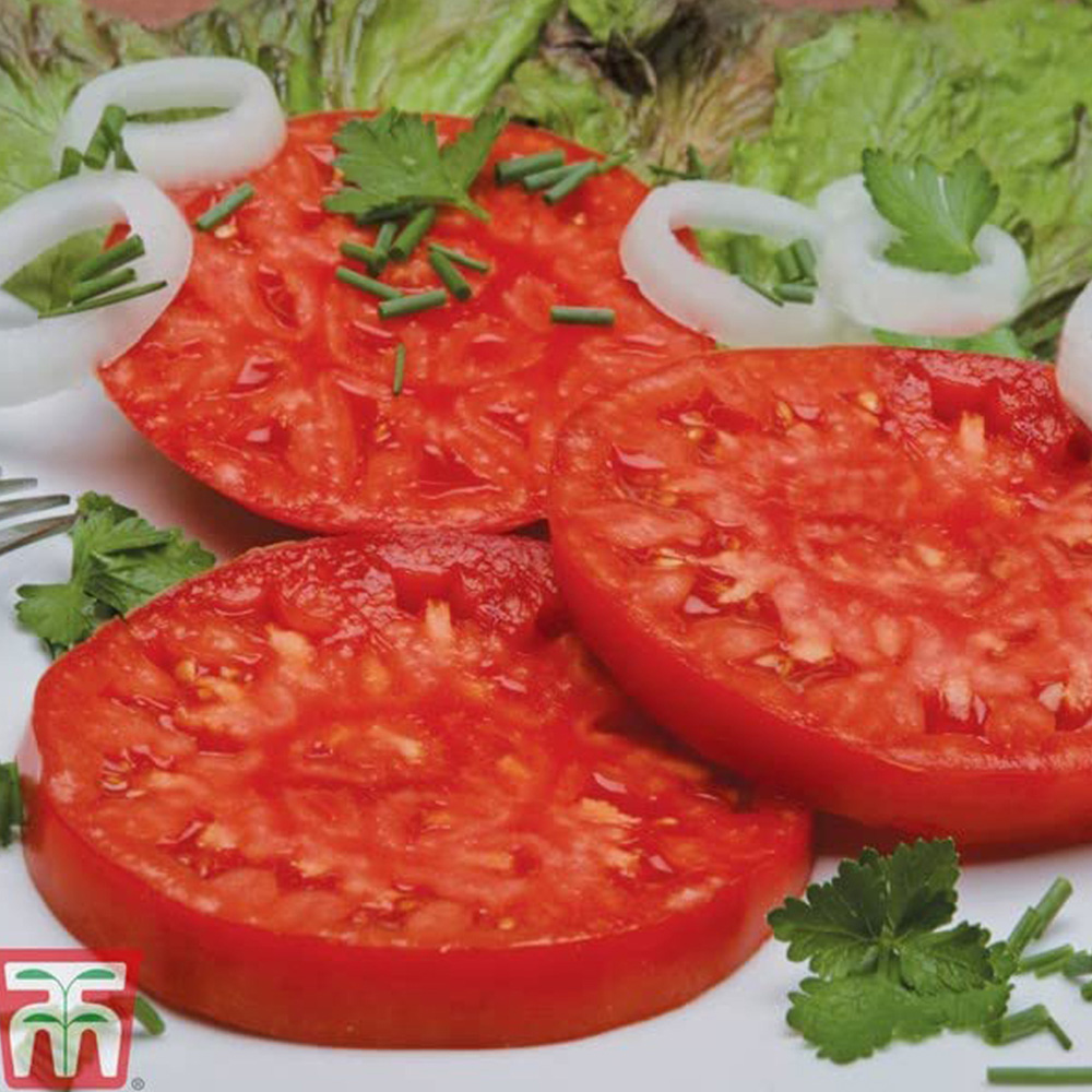 Thompson and Morgan Tomato Buffalosteak F1 Seeds Image 3