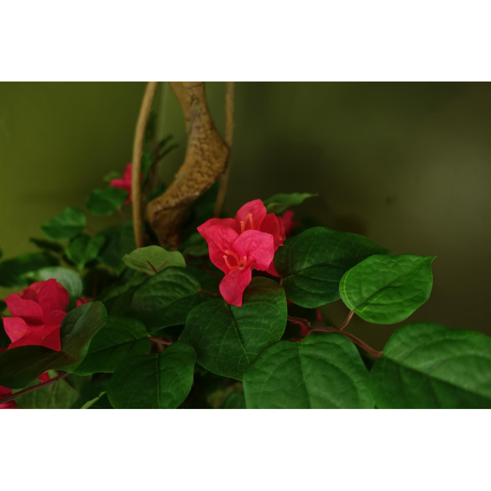 Leaf Pink Flowers Japanese Silk Bougainvillaea Artificial Tree in Pot 5ft Image 5