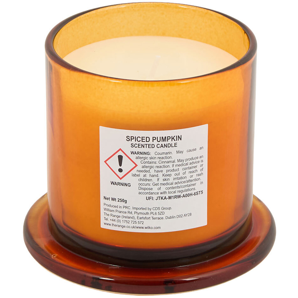 Pumpkin Cloche Candle Image 6