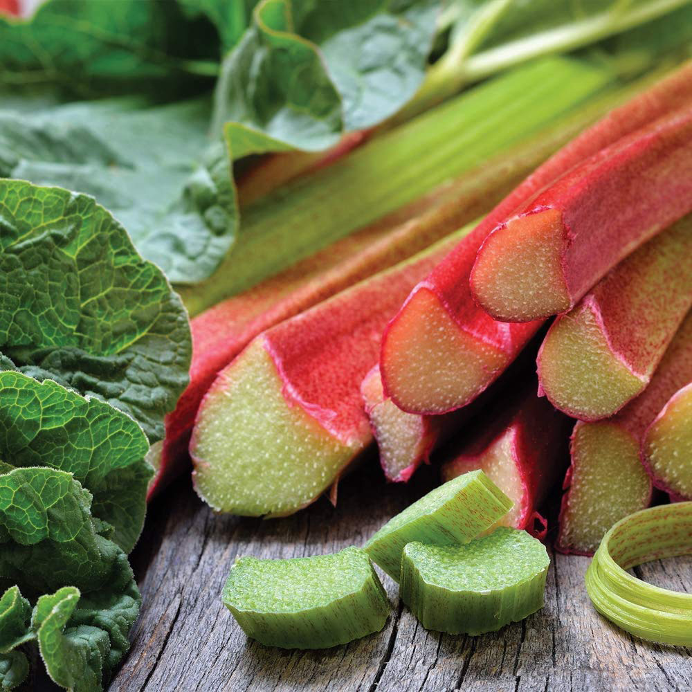 Thompson & Morgan Rhubarb Rheum Champagne Budded Root Plant 2 Pack Image 1