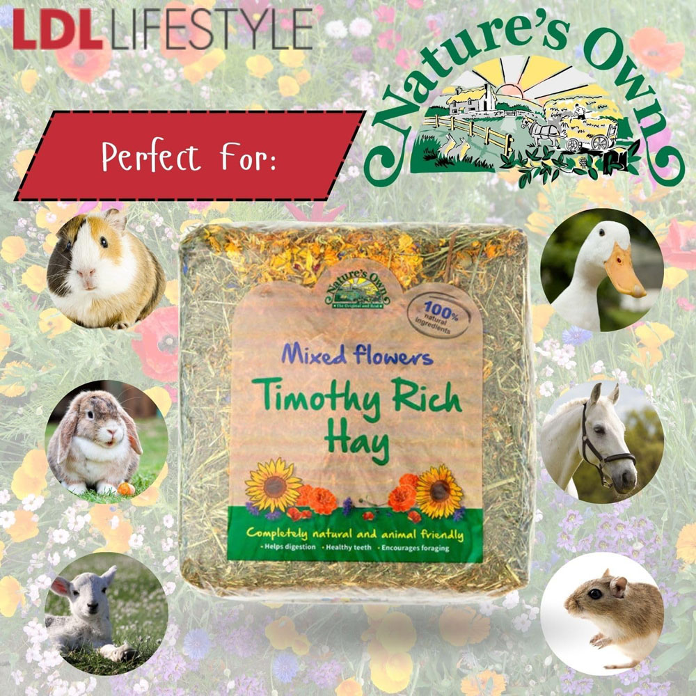Nature's Own Timothy Rich Hay with Mixed Flowers 1kg Image 5