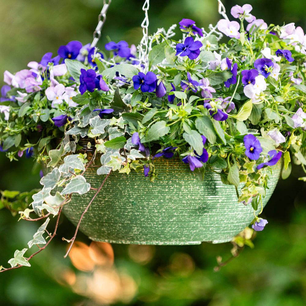 Thompson and Morgan Sage Green Glazed Effect Hanging Basket 35cm Image 2
