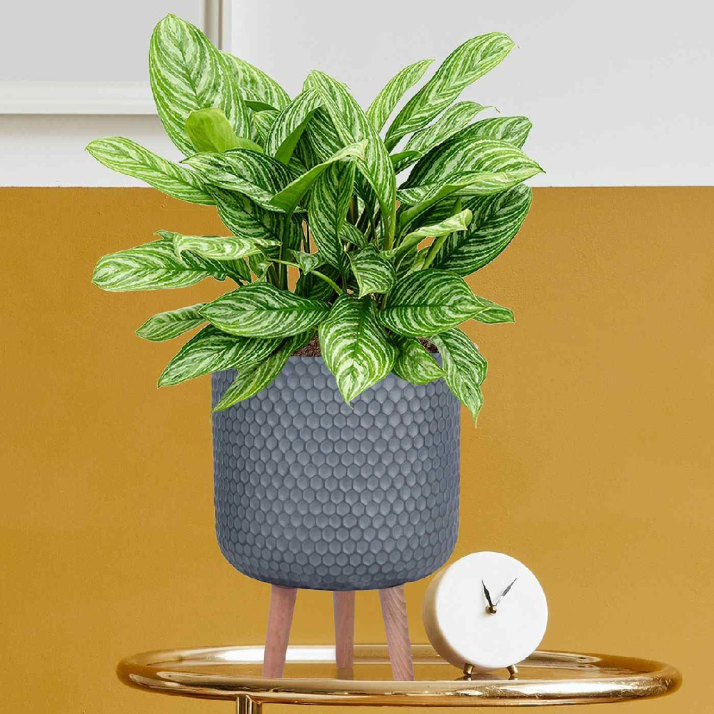wilko Honeycomb Grey Cylinder Outdoor Planter on Legs 34cm Image 4