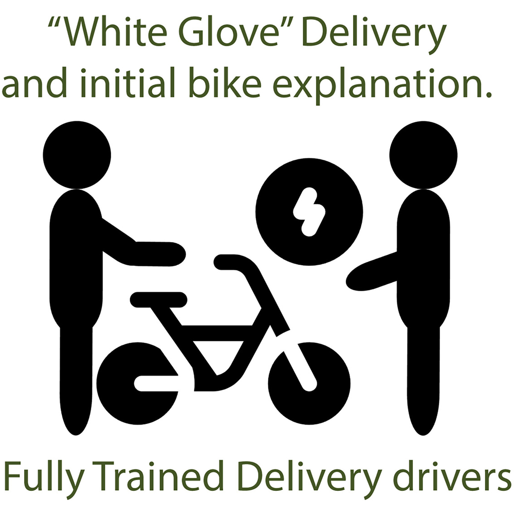 Eskuta SX-250 Classic Gloss White Electric Bike 48V Image 9