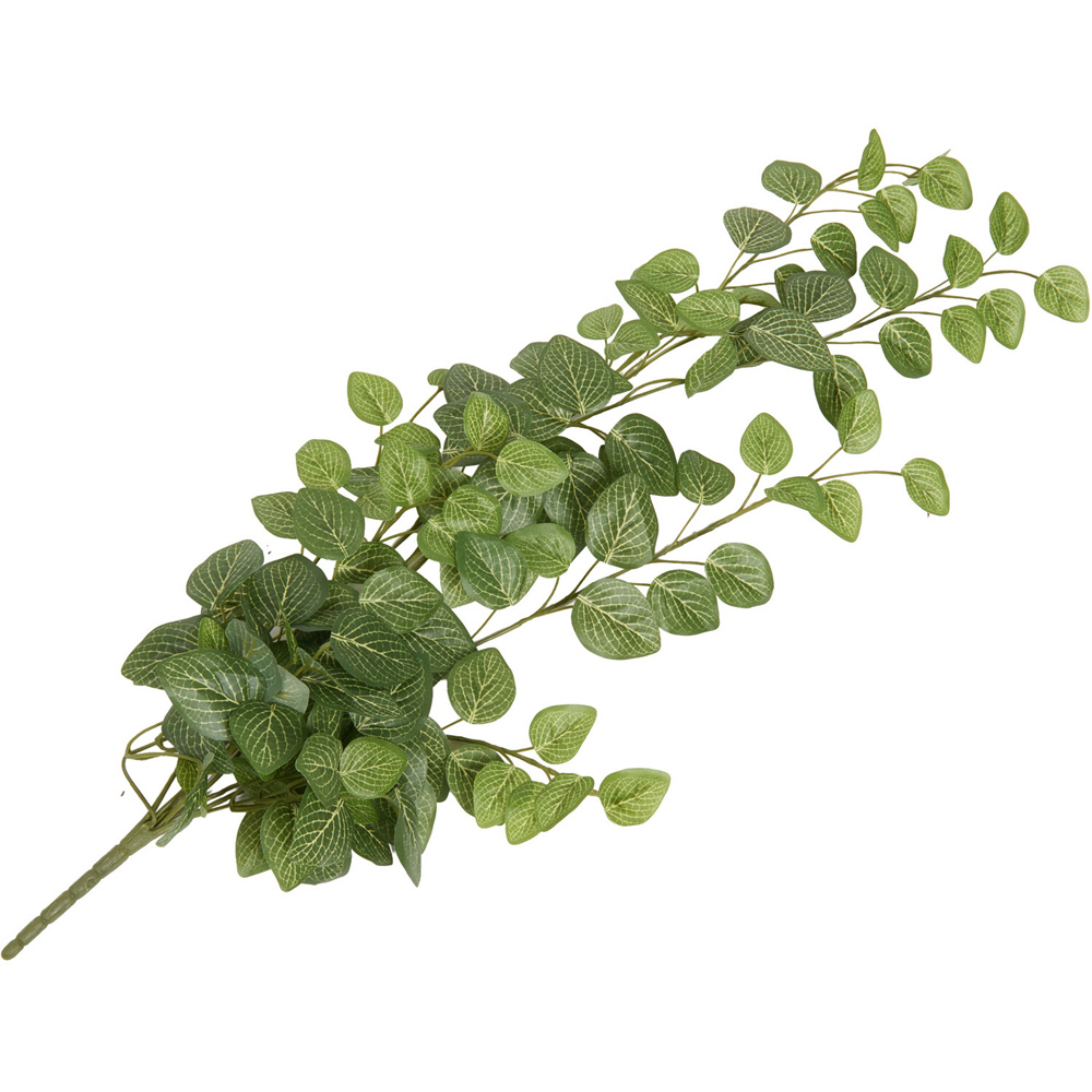Hanging Fittona Artificial Plant Green Image 5