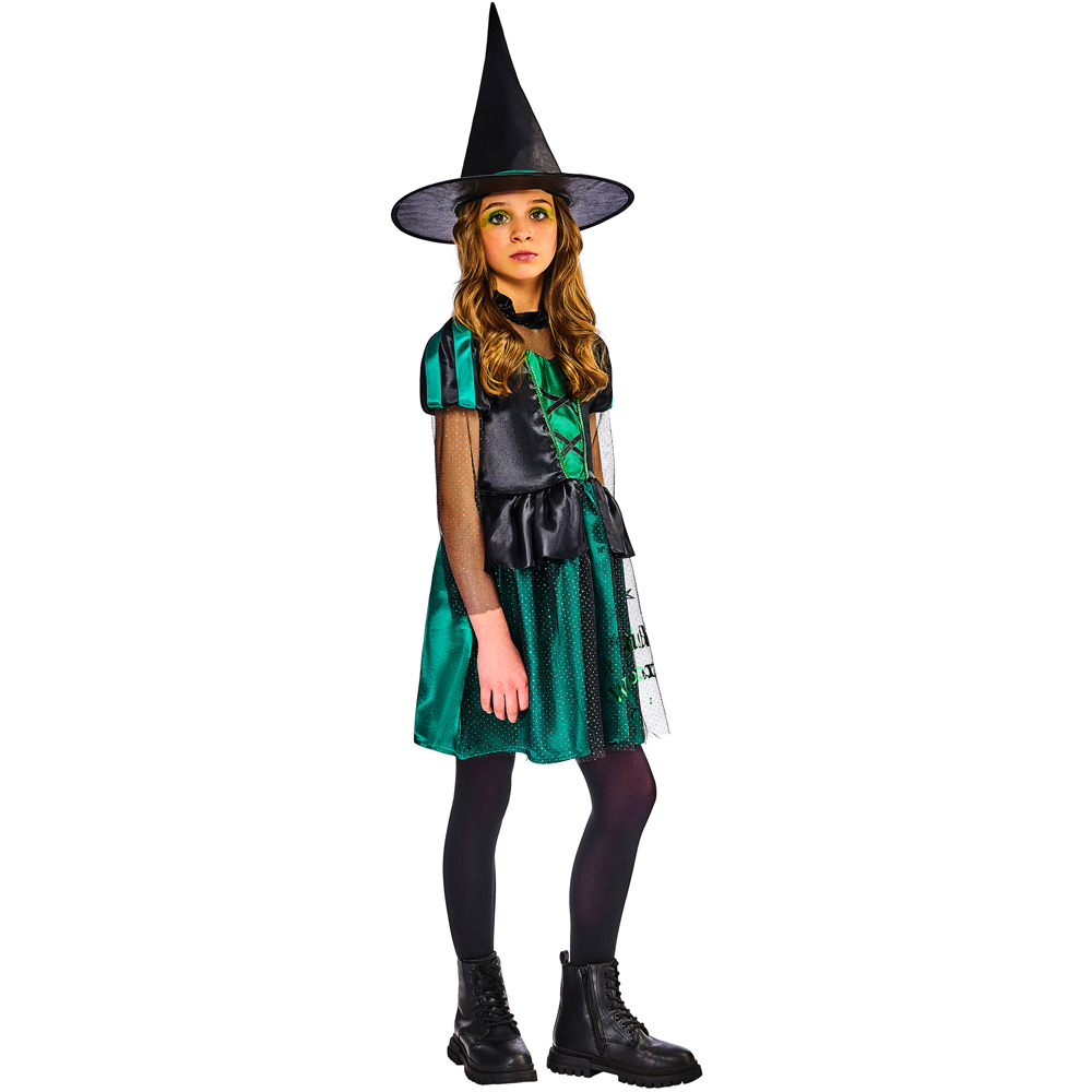 Wizard Of Oz Wicked Witch Halloween Costume 5 to 6 Years Image 3