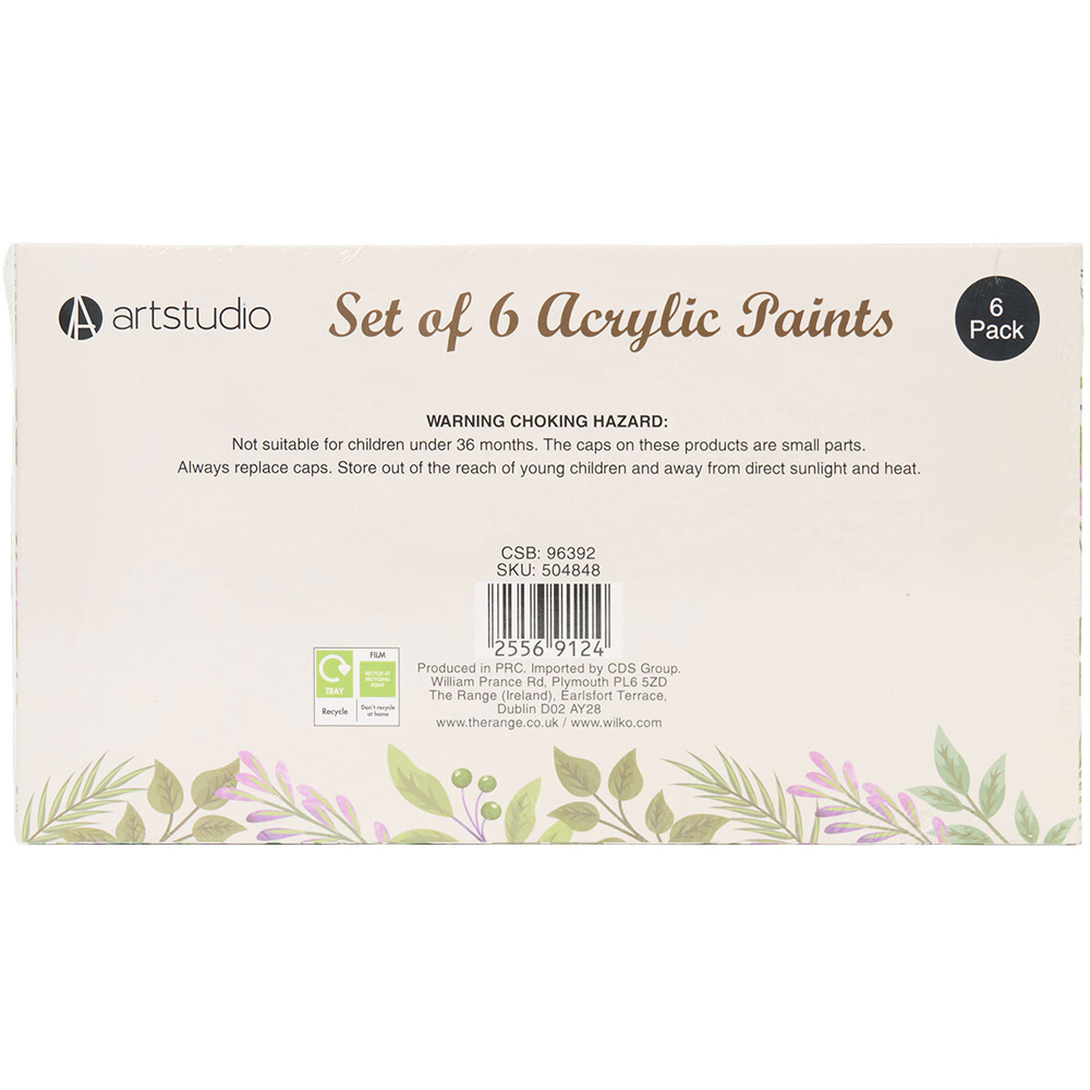 Set of 6 Acrylic Paints Image 4