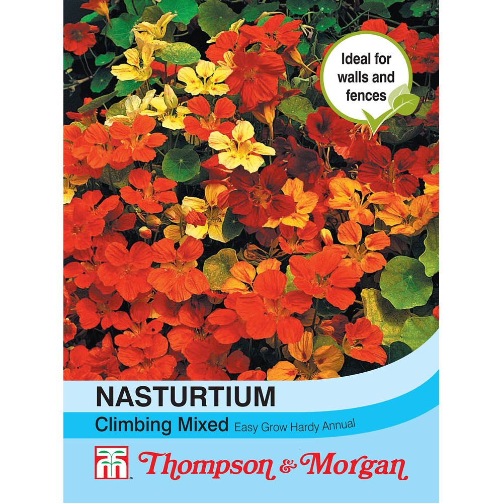 Thompson and Morgan Nasturtium Climbing Mixed Seeds Image 3