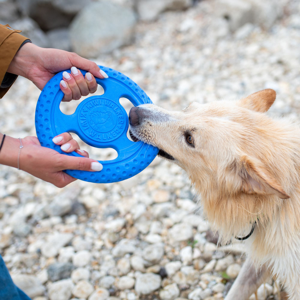 Kiwi Walker Lets Play Blue Frisbee Dog Toy Image 2