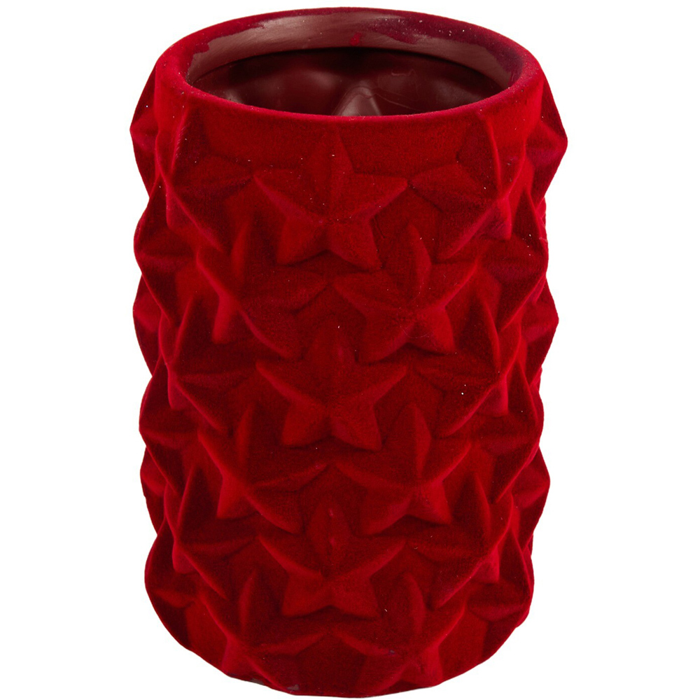 Flocked Star Pot Red Image 3