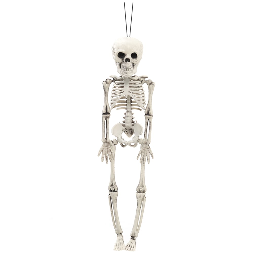 Living and Home Halloween Human Anatomy Skeleton 30cm Image 1