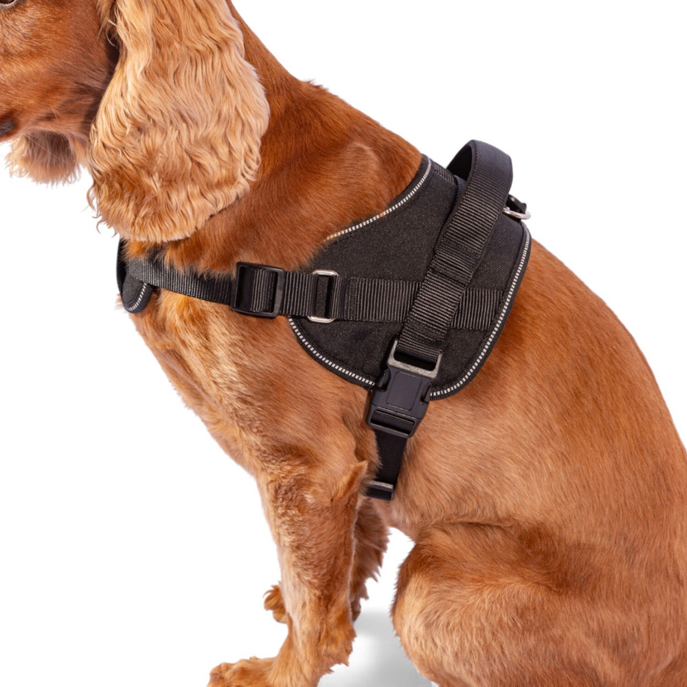 Explorer Harness Black Extra Large Image 6