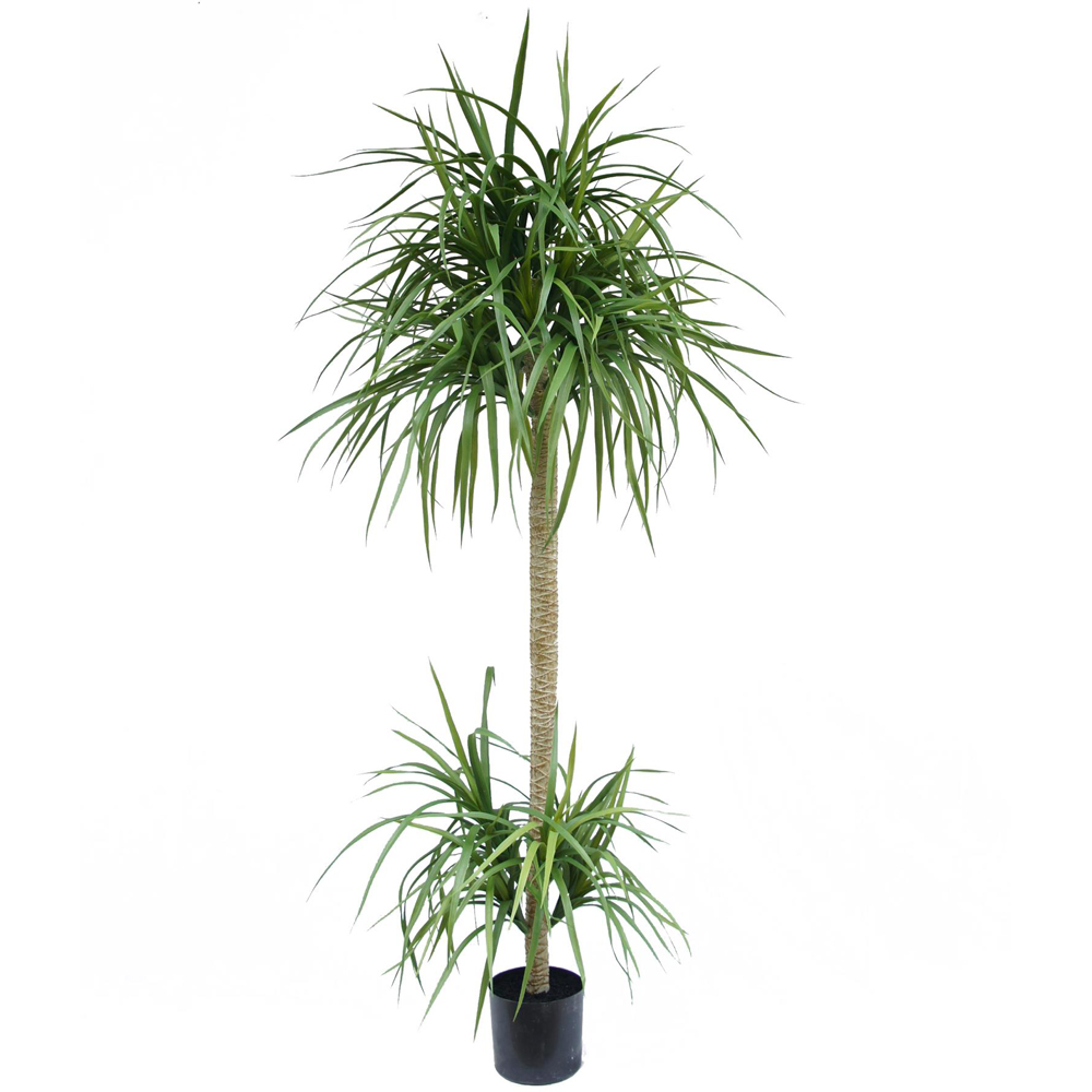 Botanik Dracaena Artificial Tree in Pot 6ft Image 1