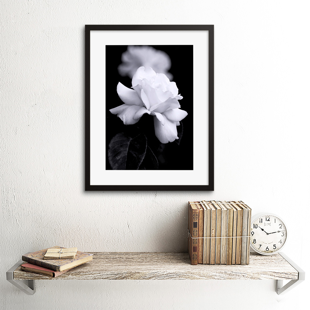 Wee Blue Coo Black and White Rose Petal Flower Photo Framed Wall Art Print 30 x 41cm Image 2