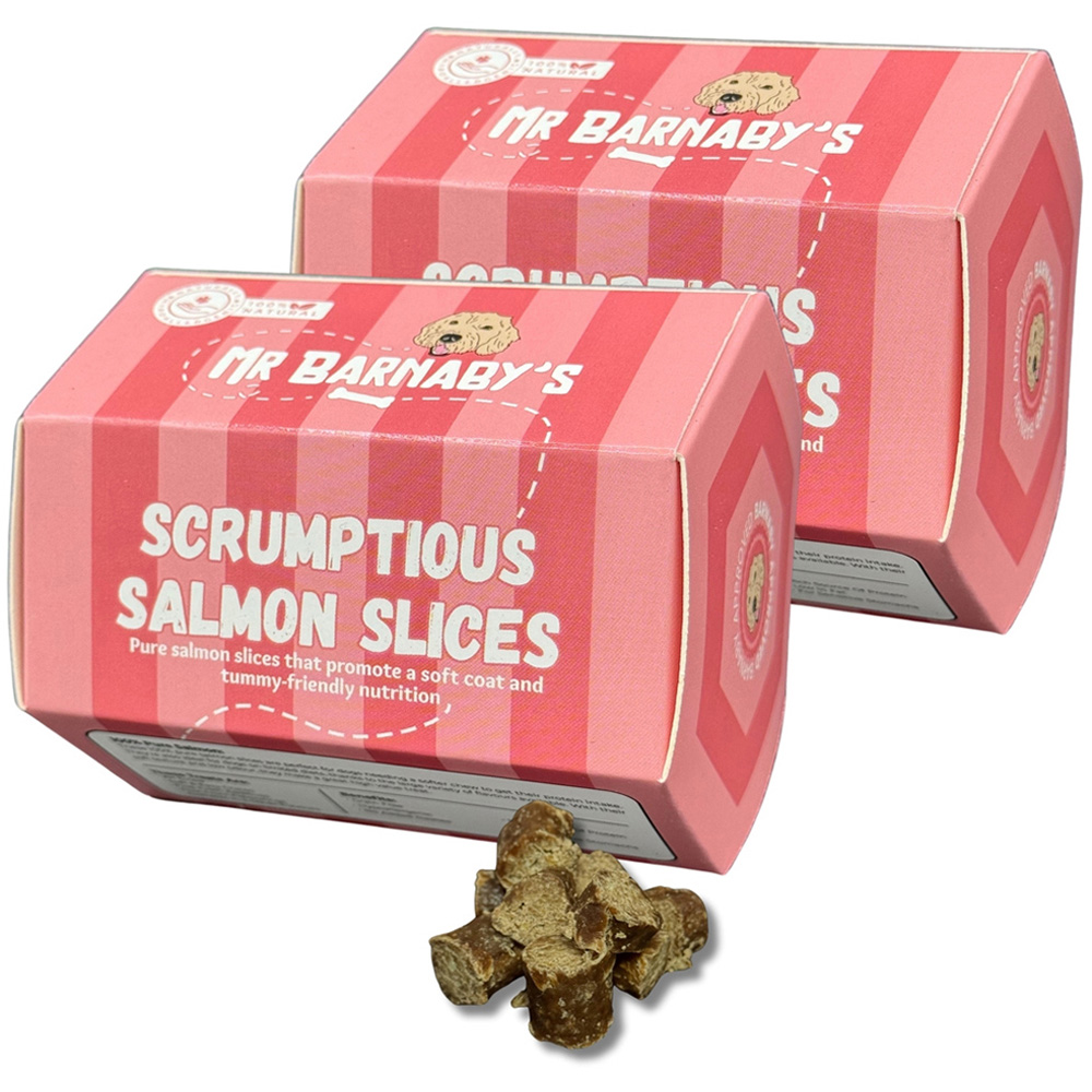 Mr Barnaby's Scrumptious Salmon Slices Dog Treats 2 Pack Image 1