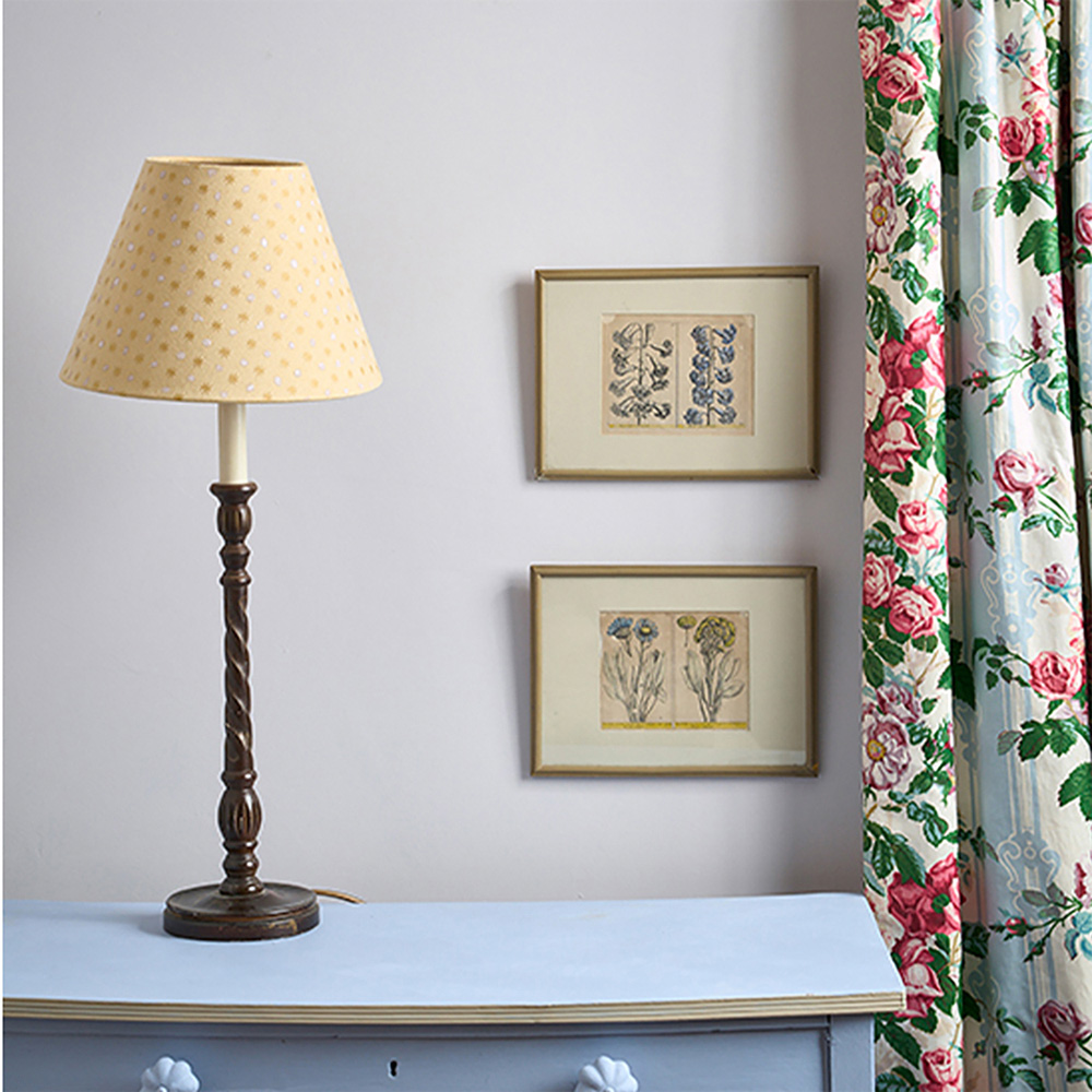 Annie Sloan Adelphi Matt Wall Paint 2.5L Image 4