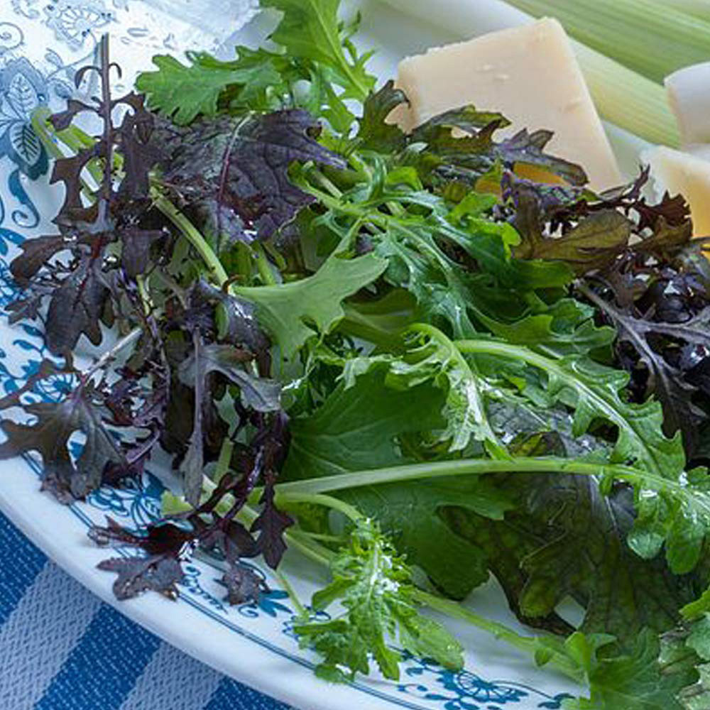 Thompson and Morgan Salad Leaves Oriental Mustard Seeds Image 2