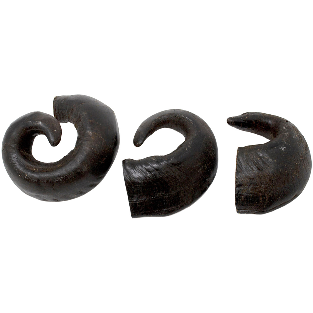 Air Dried Buffalo Horn Dog Treat Image 4