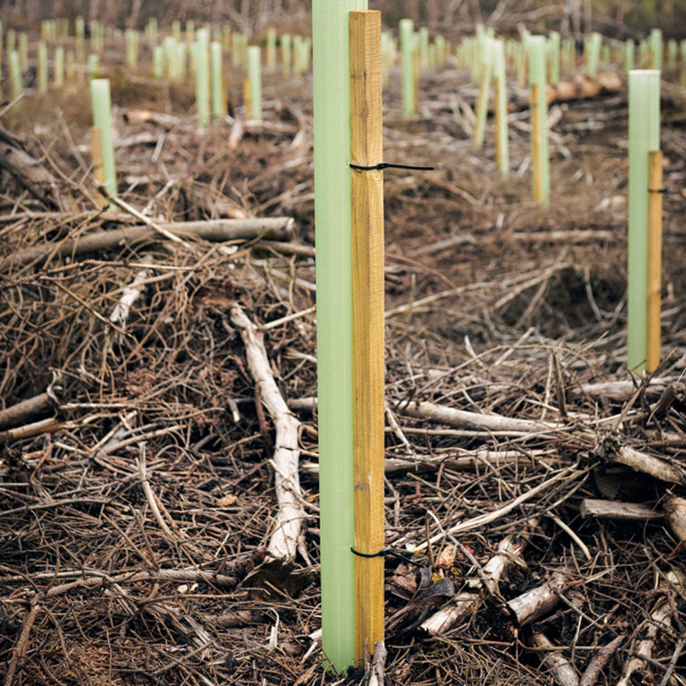 Inspirational Gifting Square and Pointed Wooden Tree Stake 1.2m x 32mm 10 Pack Image 2