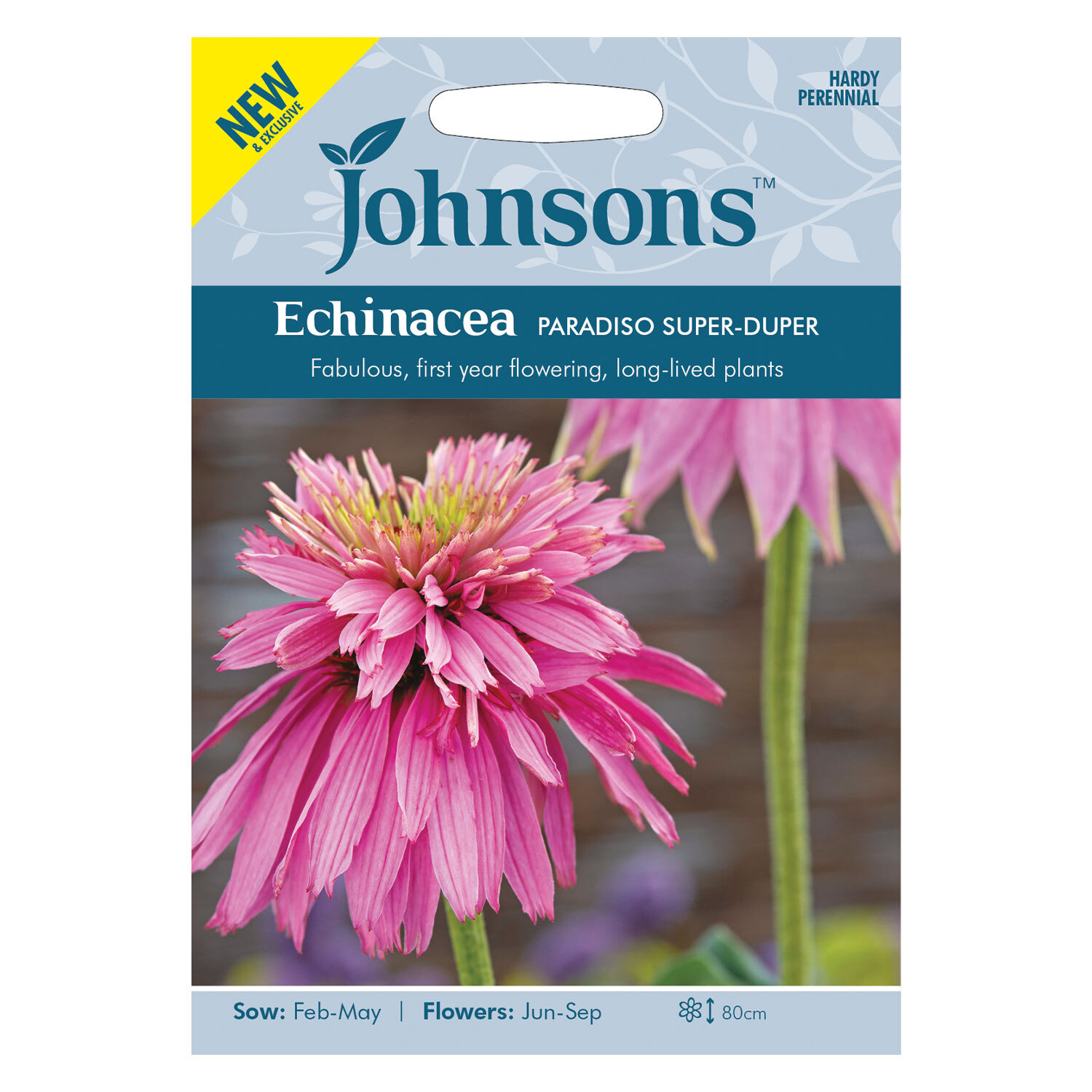 Echinacea Paradiso Super-Duper Image 1