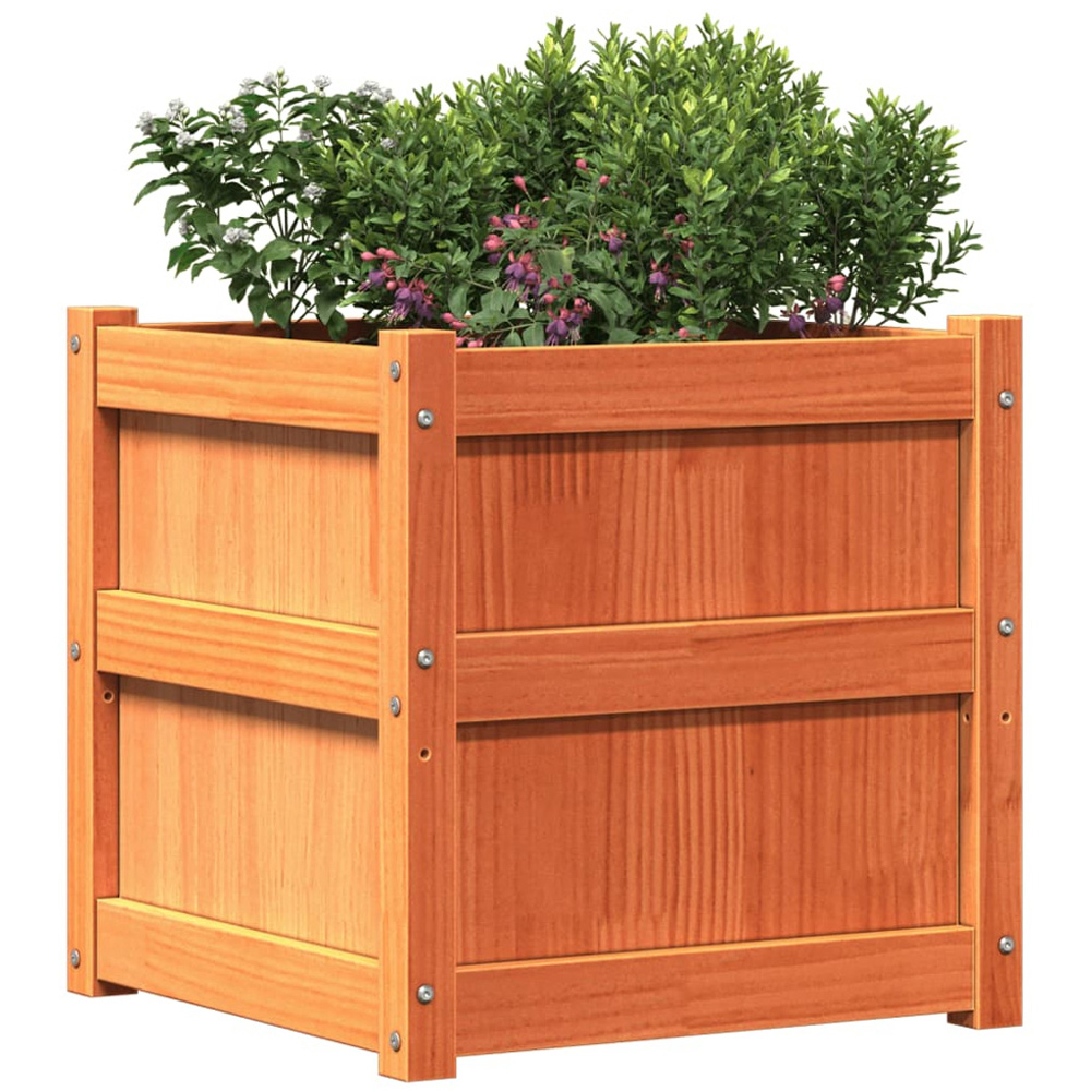 vidaXL Wax Brown Solid Pine Wood Garden Planter 50 x 50 x 50cm Image 3