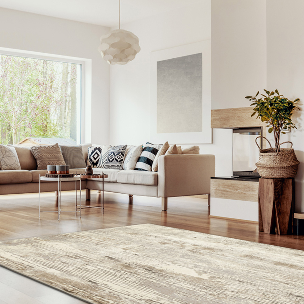 Esselle Home Solar Pluto Natural and Grey Rug 120 x 170cm Image 6