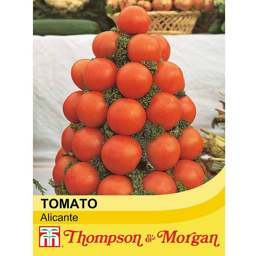 Thompson & Morgan Tomato Alicante Seed Packet Image 2