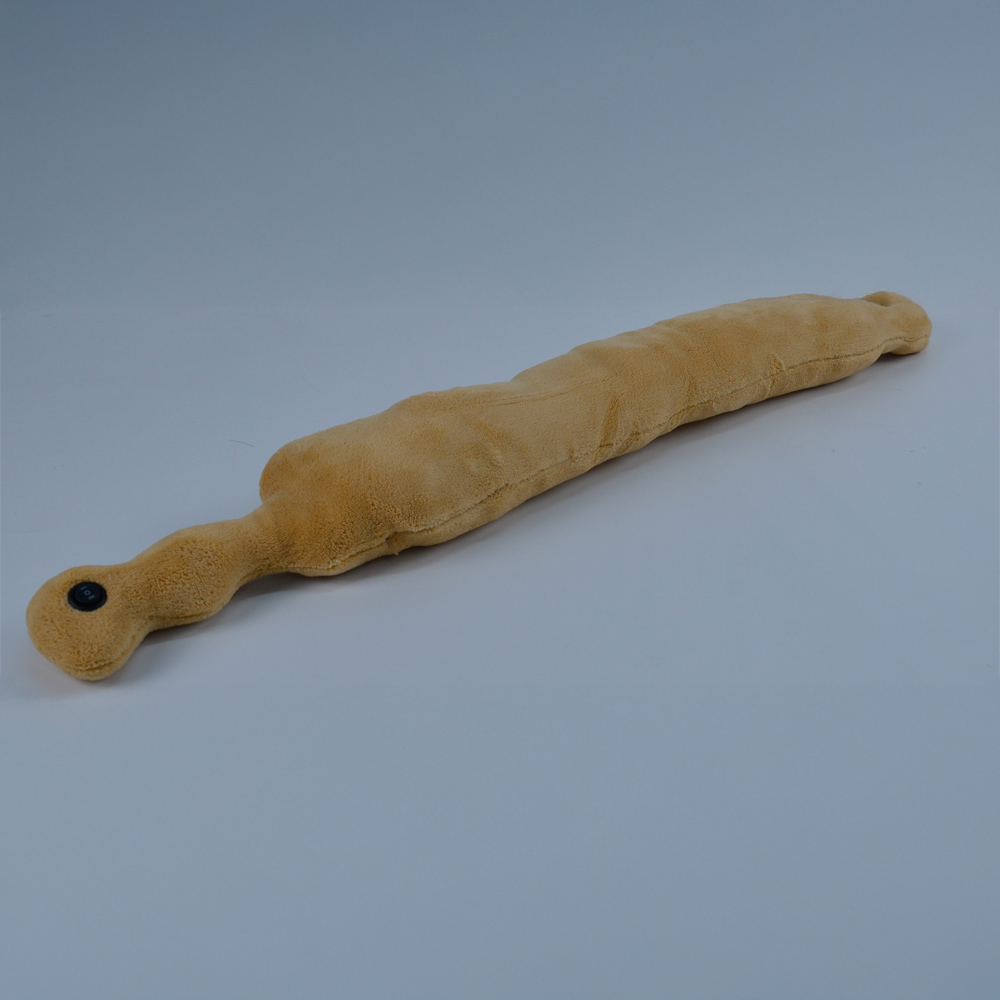 Avilo Beige Neck Massager Image 6