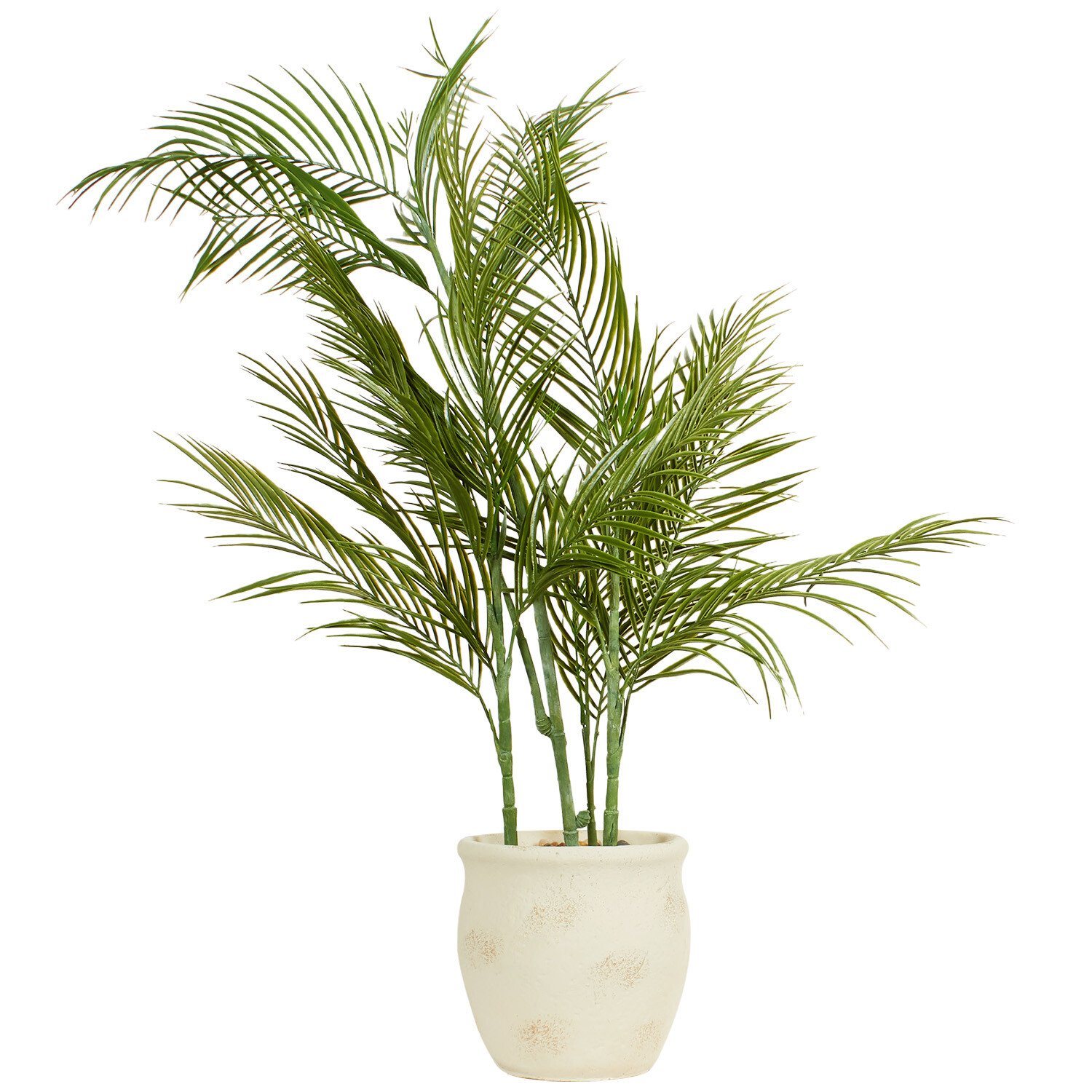 Palm in Cement Pot 100cm - Green Image 1
