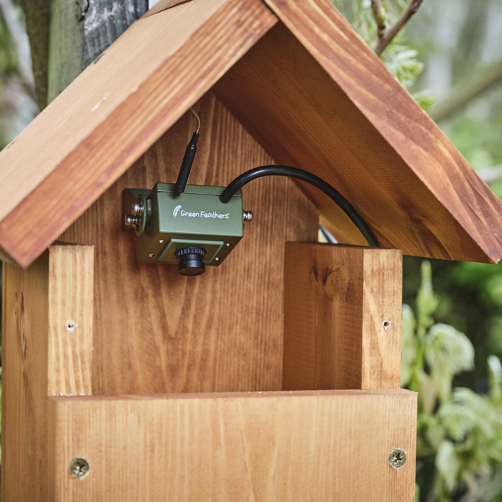 Green Feathers Wi Fi Bird Box Camera Deluxe Kit 3rd Gen Image 3