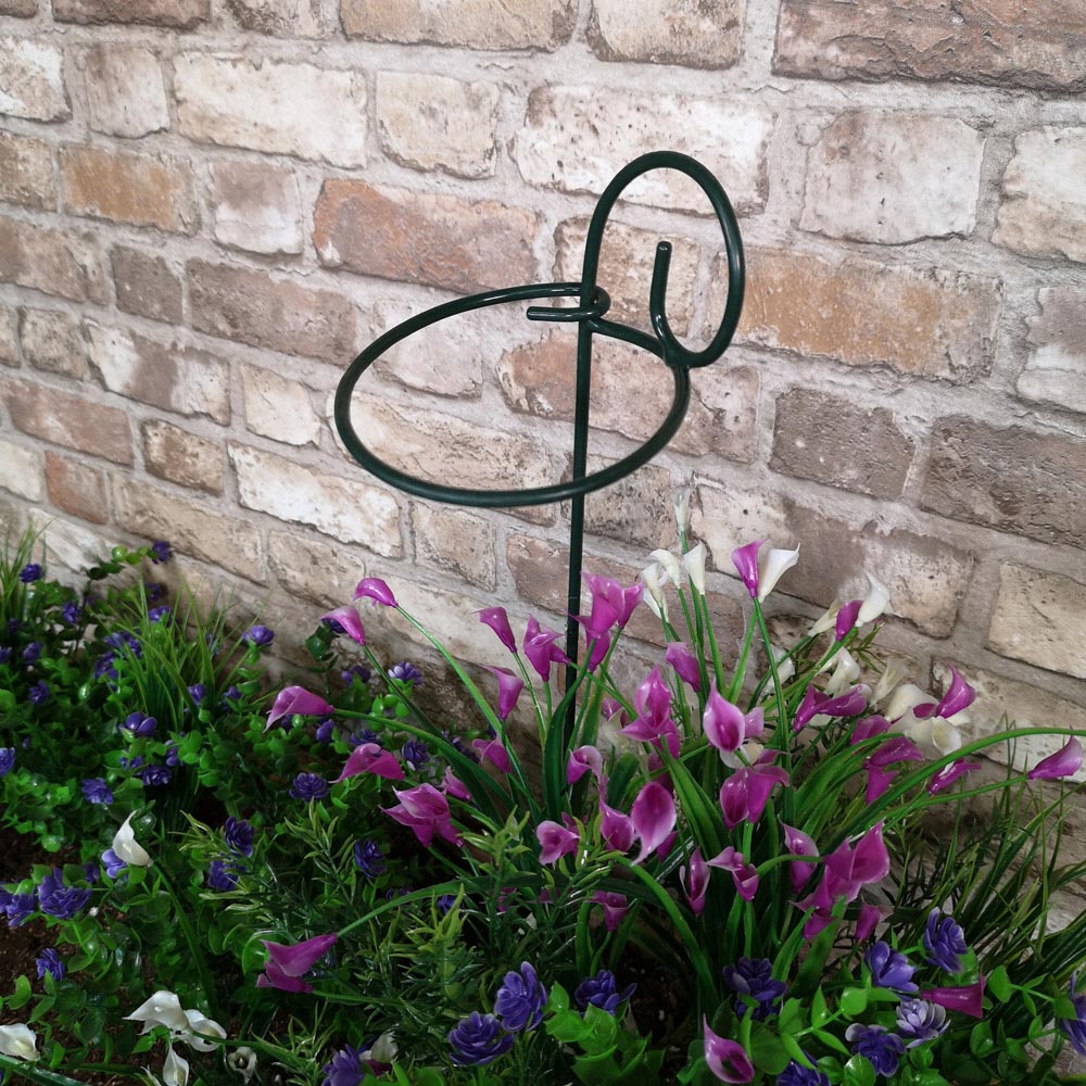 Samuel Alexander Tom Chambers Urban Black Metal Herbaceous Plant Support Ring 12 x 38cm 6 Pack Image 7