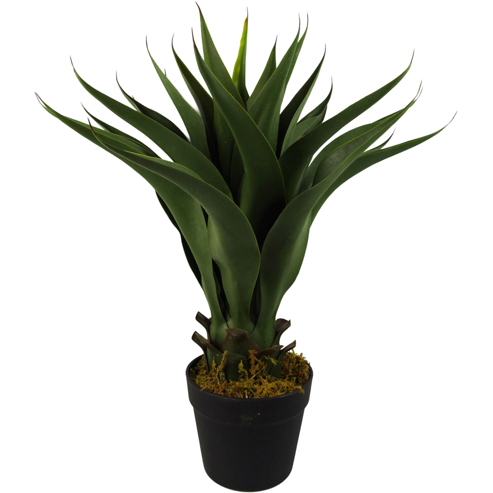 Leaf Tropical Yucca Artificial Plant 1.8ft Image 1