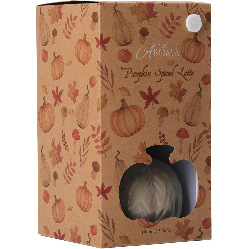 Pumpkin Ceramic Diffuser Image 7
