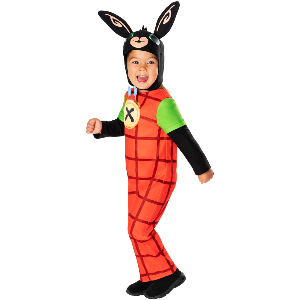 Bing Costume Age 3 to 4 Years Image 7