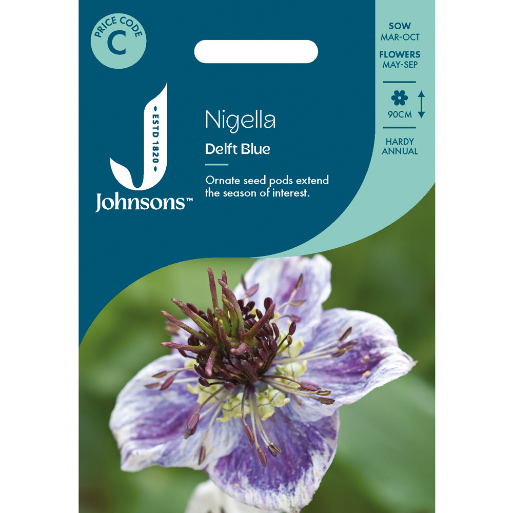 Pack of Nigella Delft Blue Flower Seeds Image 1