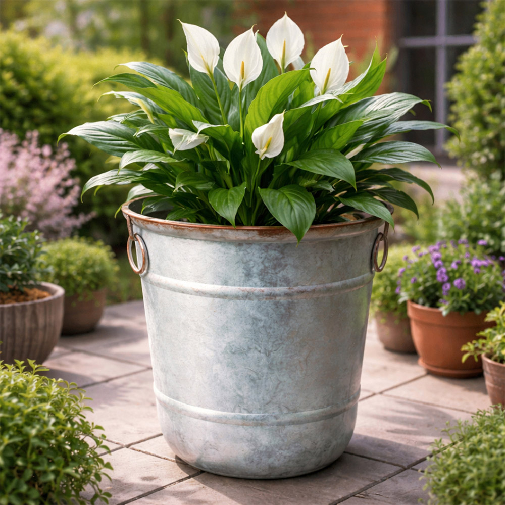 Jack Stonehouse Galvanised Steel and Copper Rim Effect Bucket Planter 32L Image 2