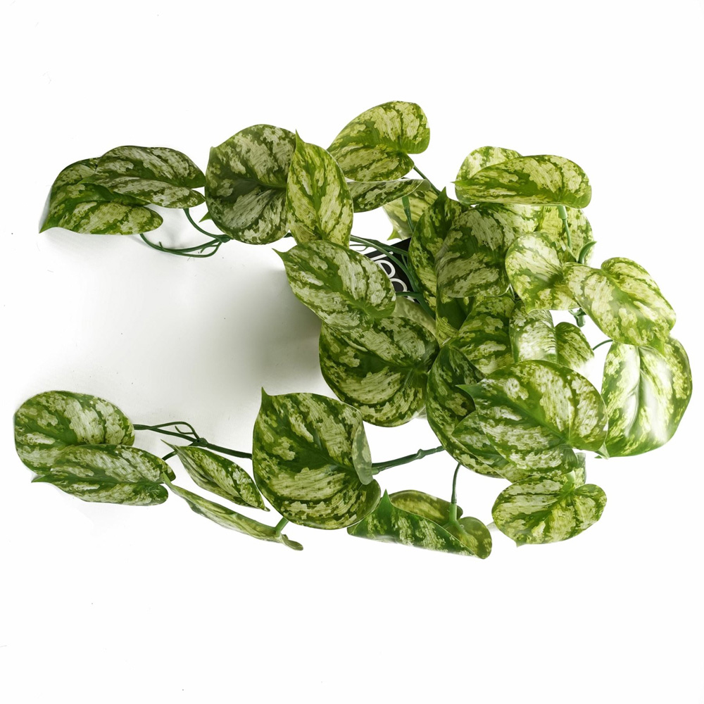 Leaf Trailing Light Natural Look Artificial Plant 35cm Image 2