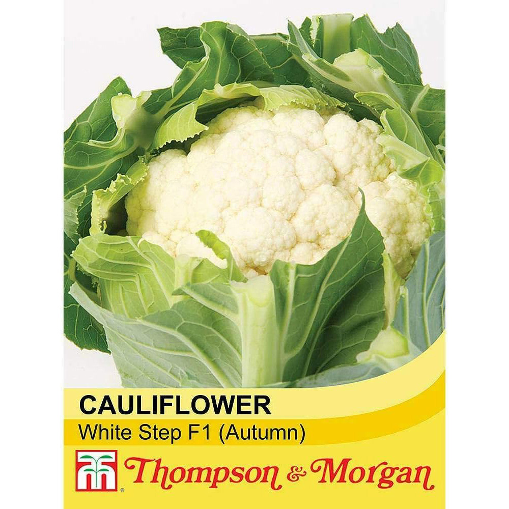 Thompson & Morgan Cauliflower White Step F1 Hybrid 30 Seeds Packet Image 2