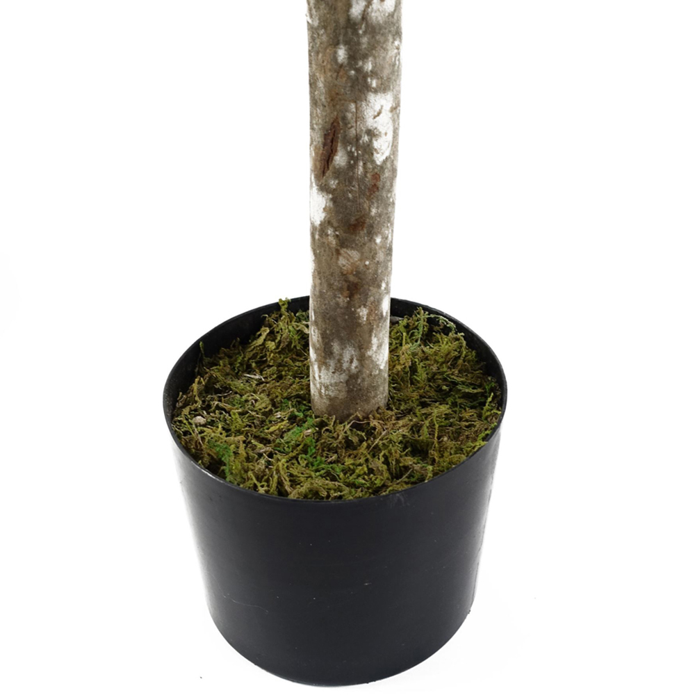 Leaf Buxus Ball Topiary Artificial Tree in Pot 5ft 2 Pack Image 2