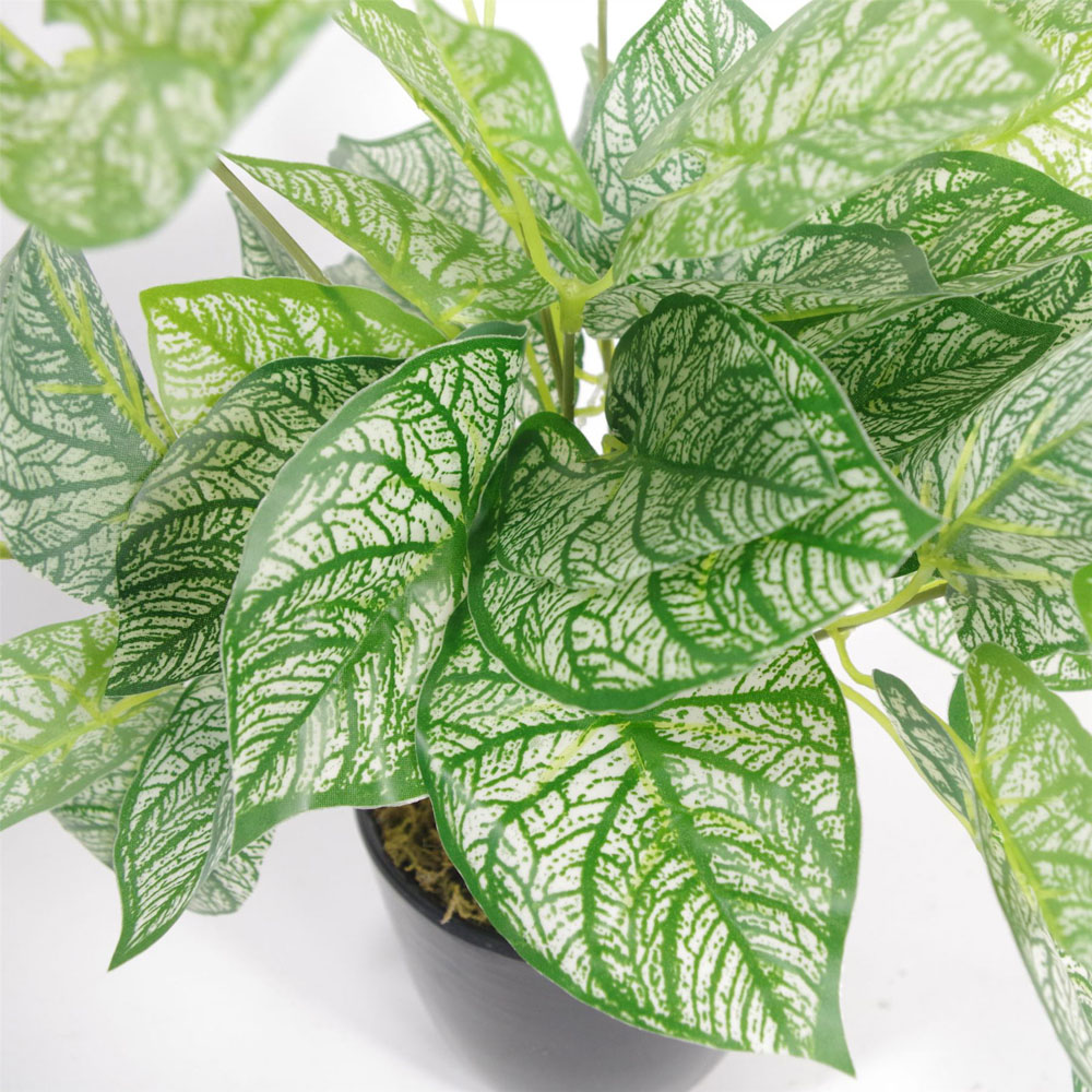 Botanik Caladium Foliage Artificial Plant in Pot 40cm Image 2