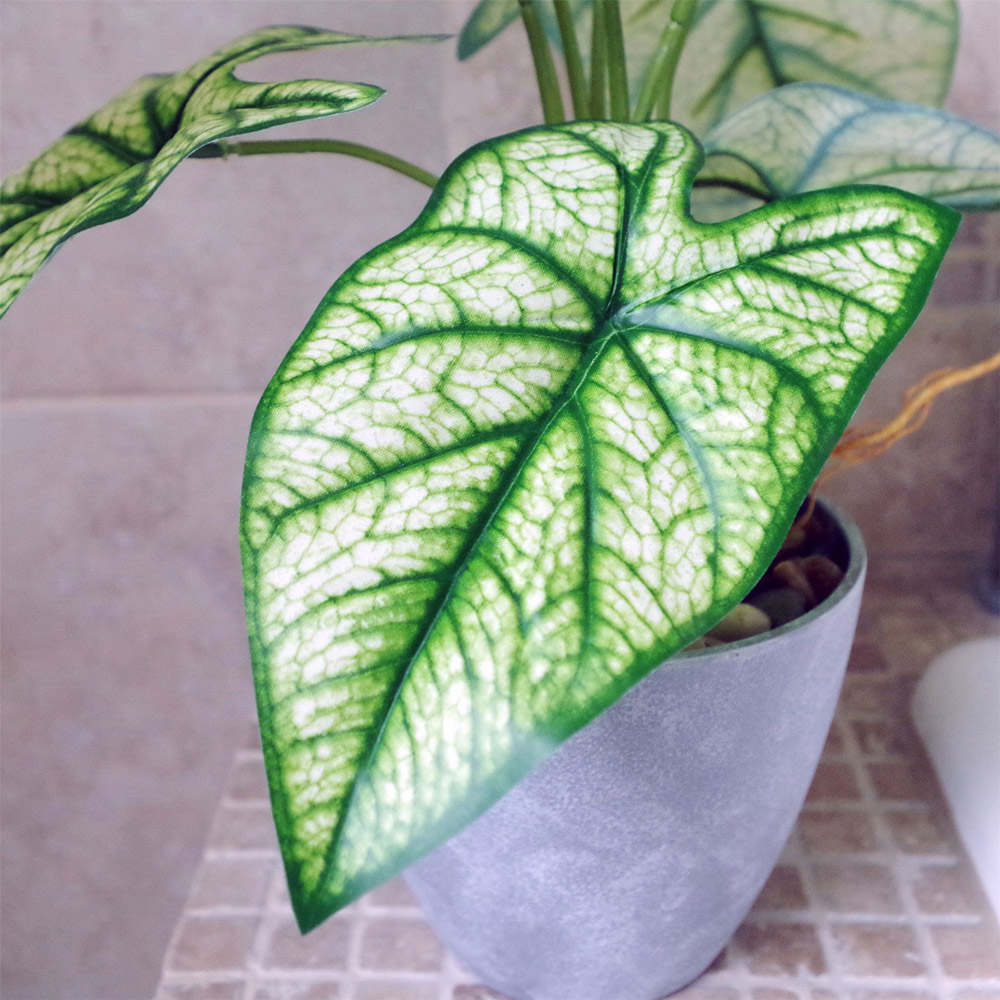 Leaf Taro Artificial House Plant in Decorative Planter 40cm Image 3