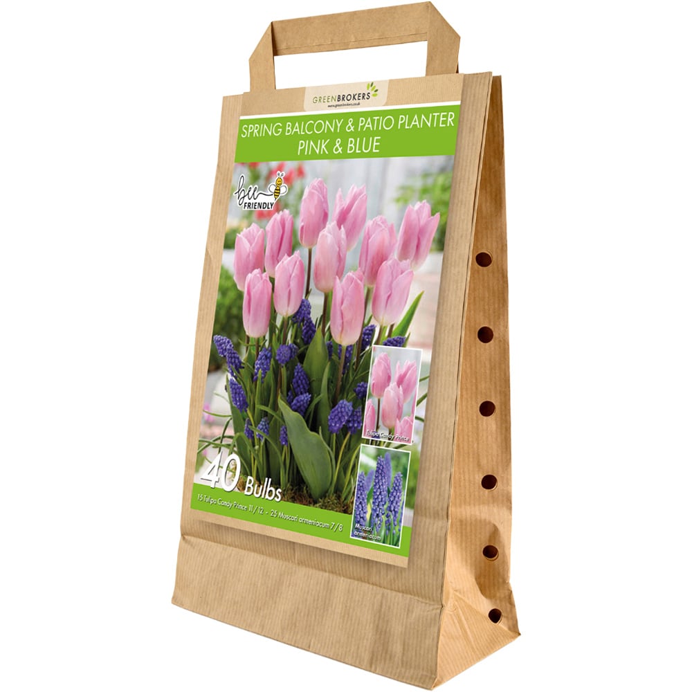 GreenBrokers Pink and Blue Balcony and Patio Mixed Planter Bulb 40 Pack Image 1