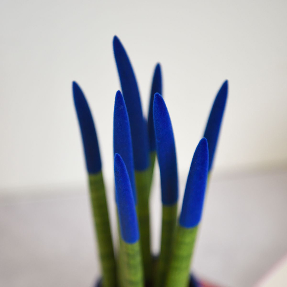 Thompson and Morgan Sansevieria Cylindrica Plant in Ceramic Pot 9cm 3 Pack Image 3