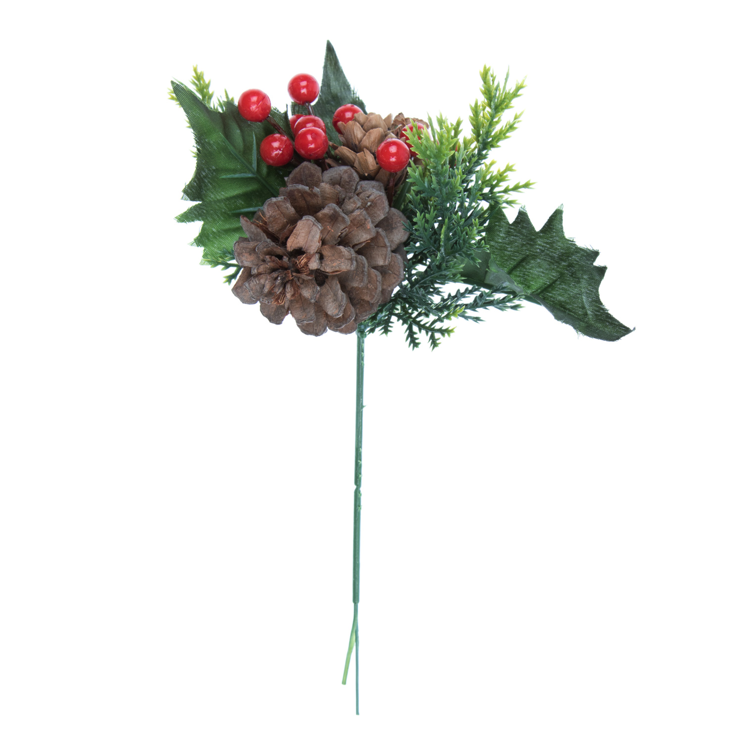 Natural Pine Cone and Berry Pick Image