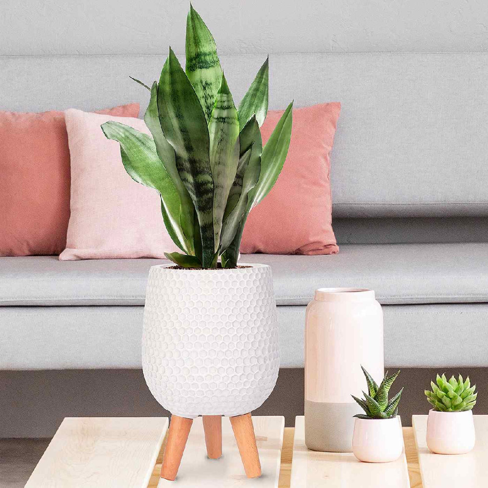 wilko Honeycomb White Indoor Plant Pot with Legs 34cm Image 3